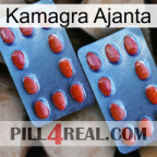 Kamagra Ajanta 05